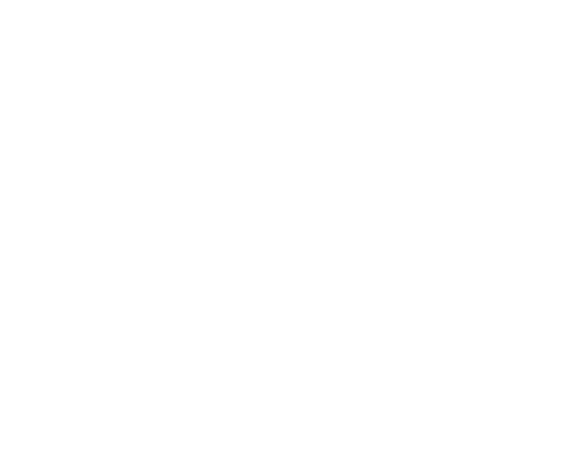 Vidzu logo