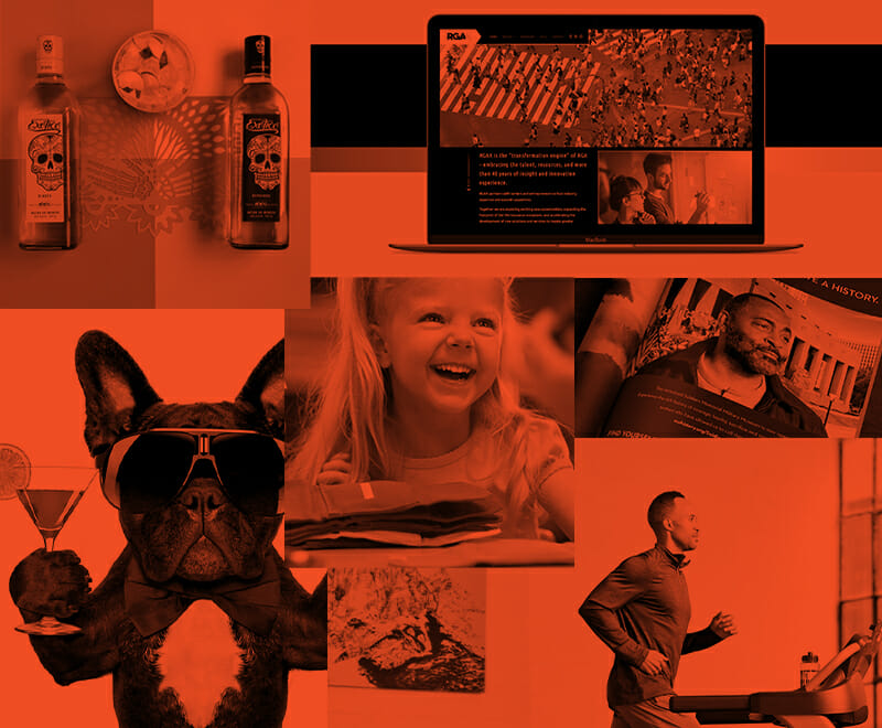 A collage of images in red featuring an Exotico Tequila cocktail, a laptop, a Frenchie holding a martini glass, a smiling girl and a man running on a treadmill.