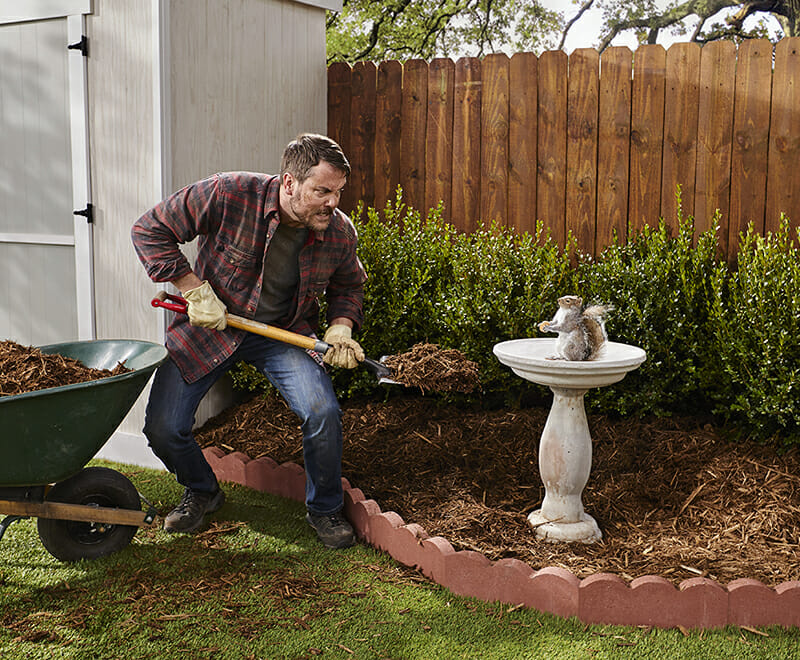 A man standing in front of landscaping with a scared look holding a shovel at a squirrel standing in a bird bath.