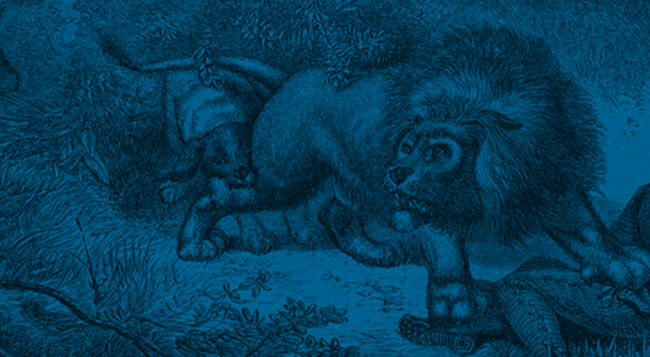 FAVORITE DISNEY MOVIE? Lion King