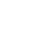 Lion's Choice